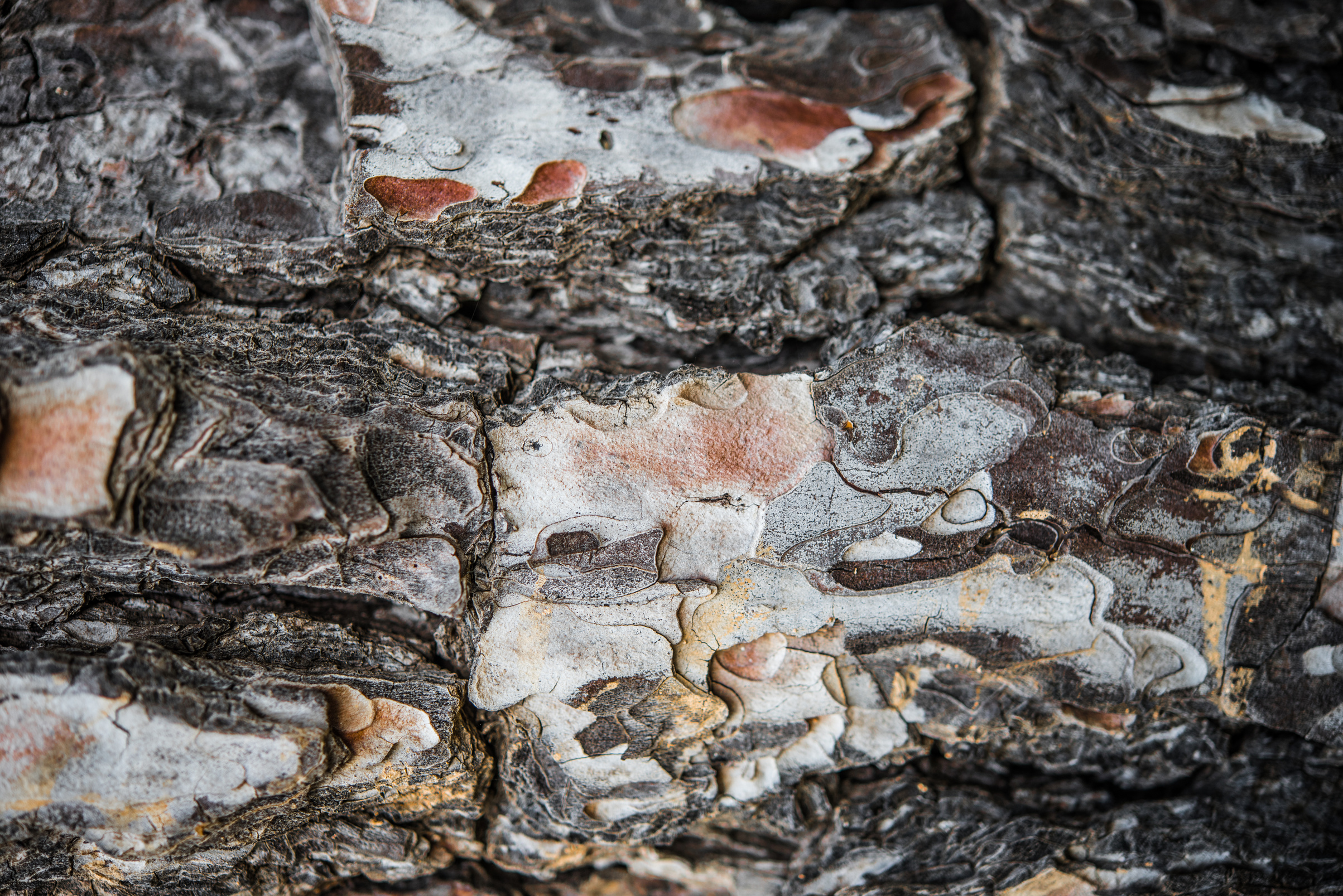 Close-up of Solidified Lava